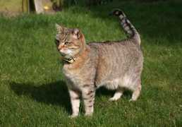 Tabetha
