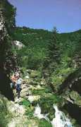 enviromagazin.sk Tabory