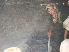 growseed.org Taboun