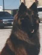btk9.com Tacara