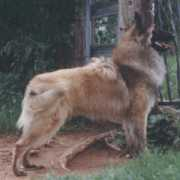 btk9.com Tacara