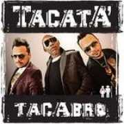 Tacata