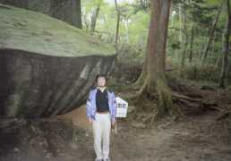 Tachi