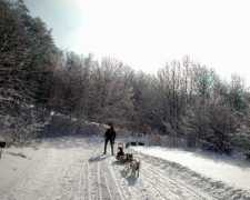 samota.mushing.cz Tadrina