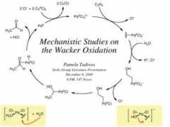 stoltz.caltech.edu Tadross