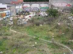 Taeib
