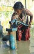 Tahamid