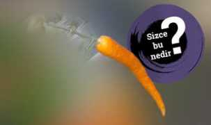 mistikalem.com Tahmin