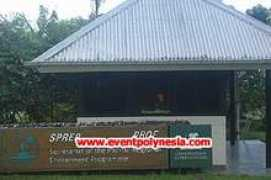 eventpolynesia.com Taholo