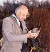 Taib