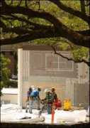 the.honoluluadvertiser.com Taiese