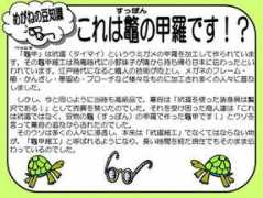 blog.taiyomegane.com Taimai