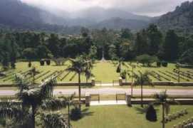 Taiping