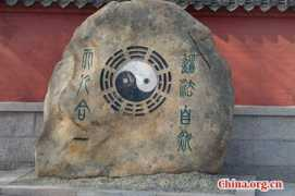 china.org.cn Taiqing