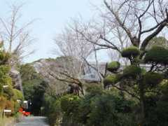 kougodo.jp Tairei