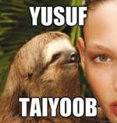 shaolintiger.com Taiyoob