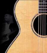 synergyguitars.com Takamine