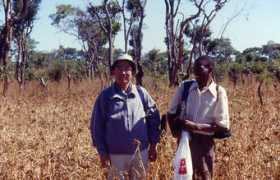 africa.kyoto-u.ac.jp Takamura