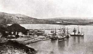 Takau