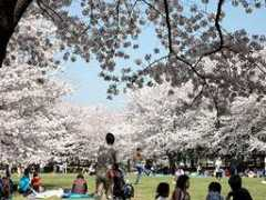 .saganet.ne.jp Taketani