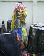 magiedubouddha.com Takian