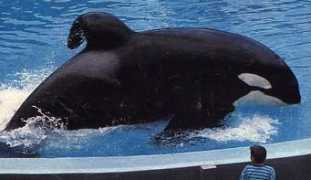 tomino10.blog.cz Taknes