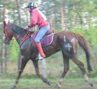 lydielemmens.free.fr Talall