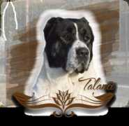 chorasan.com Talanci