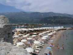 edengardensrl.com Taleno