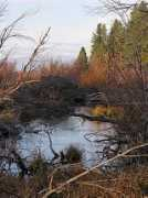 Tallac