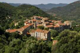 corse-online.com Tallane