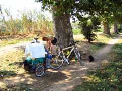 canalmidi.com Taloche