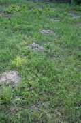 villavillacolle.net Talpe