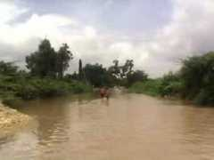 wn.com Taluka