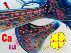 ucl.ac.uk Talvinder