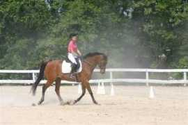 autumncharmsh.com Talyor