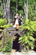 maoriweddings.com Tamaki