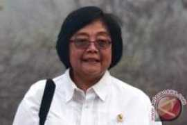 antaranews.com Tamanan