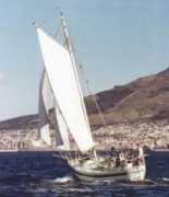 wavedancer-yachtdesign.com Tamarai