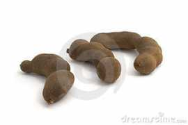 dreamstime.com Tamarinde