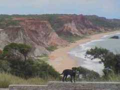triptobrazil.com Tambaba
