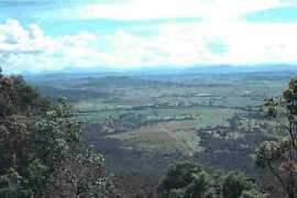 Tamborin