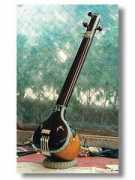 schneiderguitars.com Tamboura