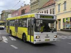 Tambus
