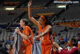 illinoisloyalty.com Tamers
