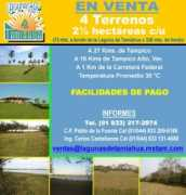 publivalle.com Tamiahua