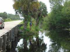 dharmaworks.net Tamiami