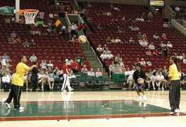 stormfans.org Tamicha