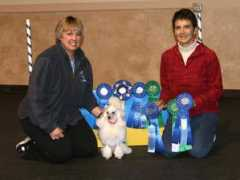 goldstarpoodles.com Tamieca