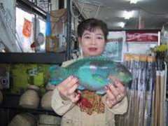 seamate-fishing.com Taminato